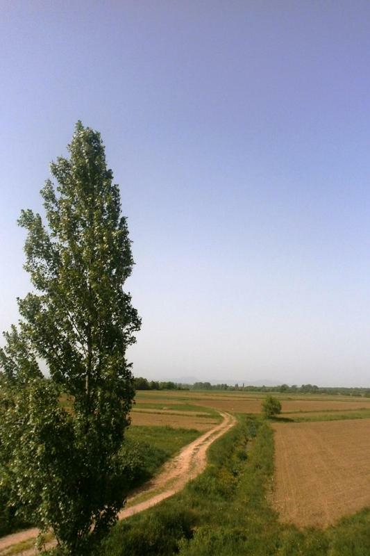 Kuc Kuc Apartmani Karlovac Esterno foto
